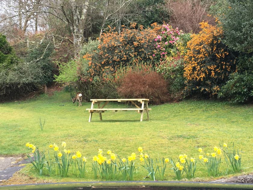 Garden | Innish - Innish Holidays, Clachan Seil