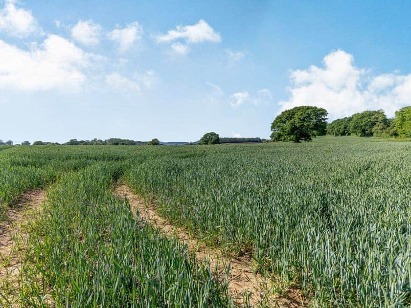 Surrounding area | Wheelhouse Cottage, Ocle Pychard