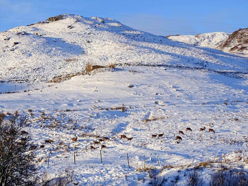 Surrounding area | 15 Glengoulandie Lodge, Glengoulandie, near Aberfeldy