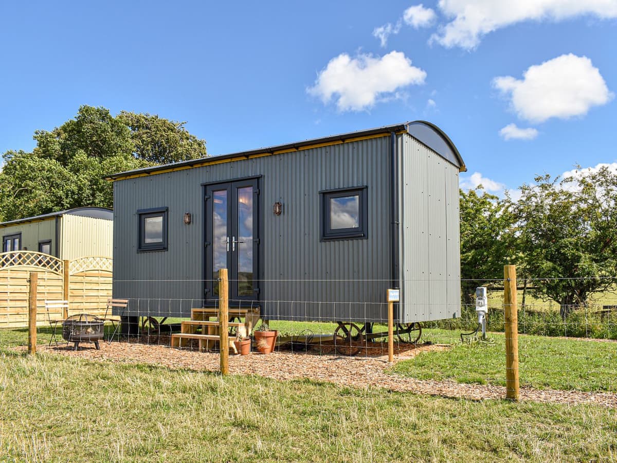 Meadows Huts - Forget-Me-Not