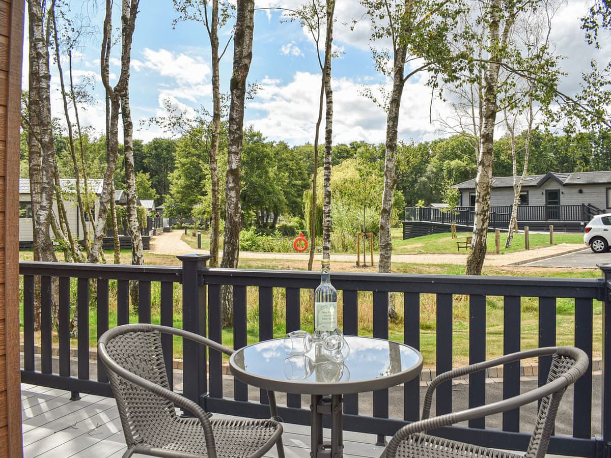 Deer Glade Lodge - Holiday Lodge in Southern England - Image 2