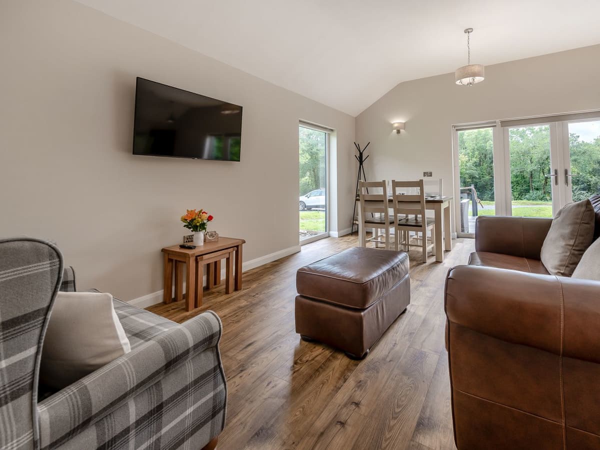 Glanyrafon Lodges - Dwrgi - Image 2