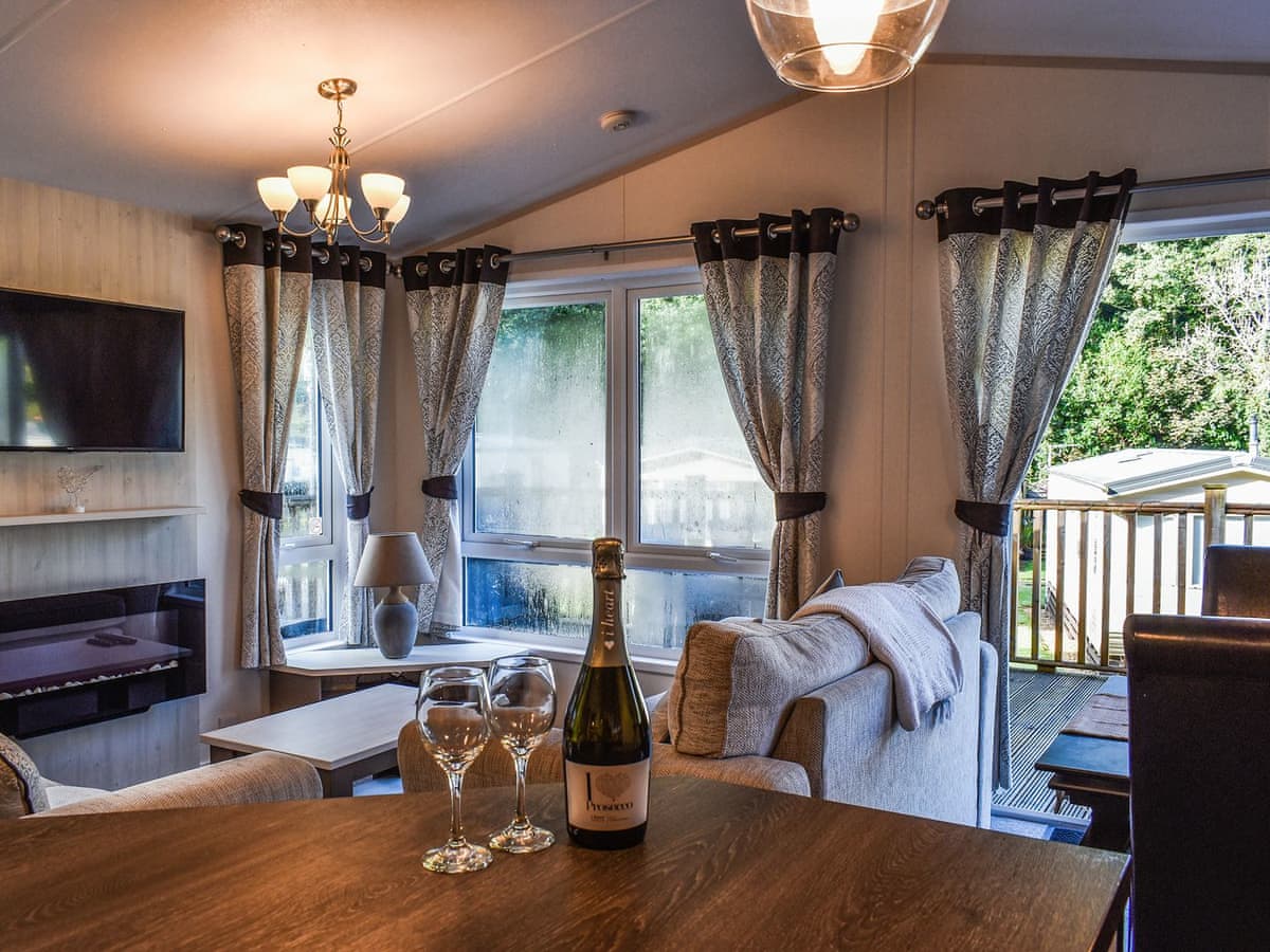 Elm Lodge - Holiday lodge in South West England - Image 4
