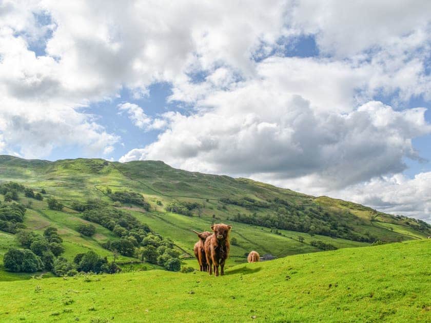 Surrounding area | Kirkstone Shepherd’s hut, Ambleside