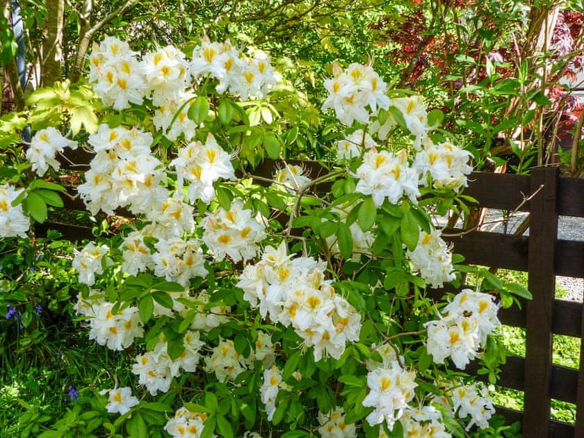 Garden | Bo Nan Taigh Cottage, Aberfoyle