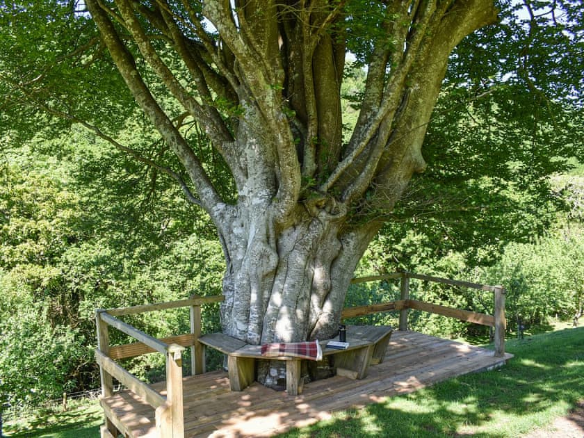 Garden and grounds | Woodland Retreat, Polbrock, Washaway