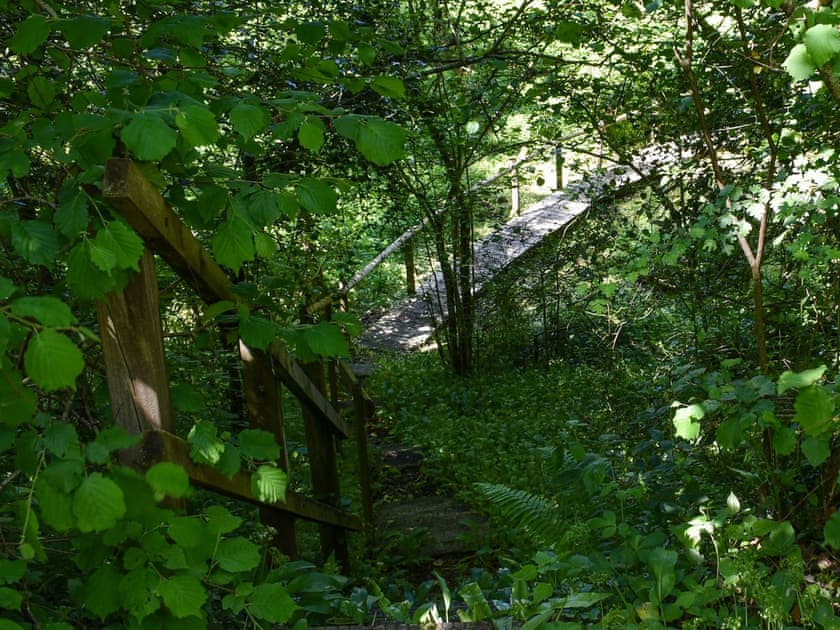 Garden and grounds | Woodland Retreat, Polbrock, Washaway