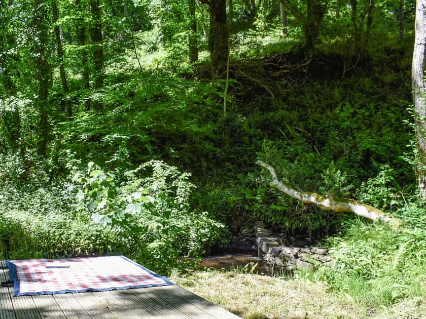 Garden and grounds | Woodland Retreat, Polbrock, Washaway