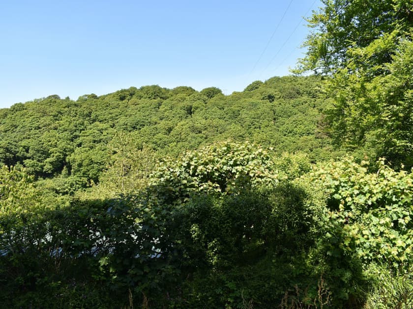 Setting | Woodland Retreat, Polbrock, Washaway