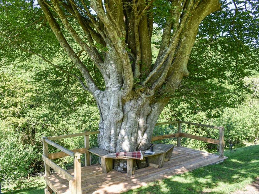 Garden and grounds | The Old Chapel, Polbrock, Washaway
