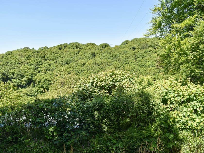 Setting | The Old Chapel, Polbrock, Washaway