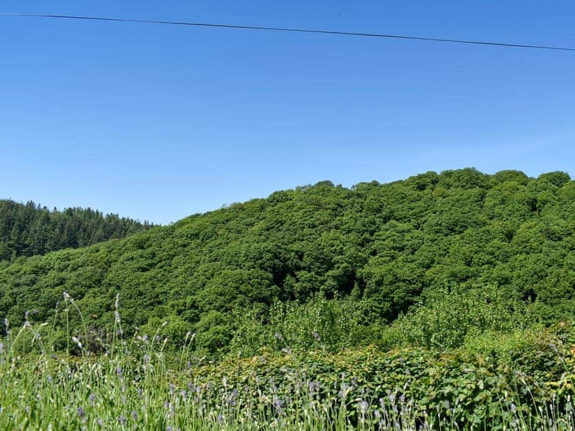 View | The Old Chapel, Polbrock, Washaway