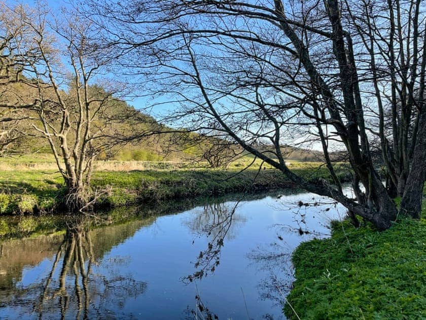 River Derwent at the bottom of the meadow | Stable House, Gardeners Cottage, Tiny House Railway Carriage Number 1 - Lockhaugh Farm Cottages & Carriages, Rowlands Gill