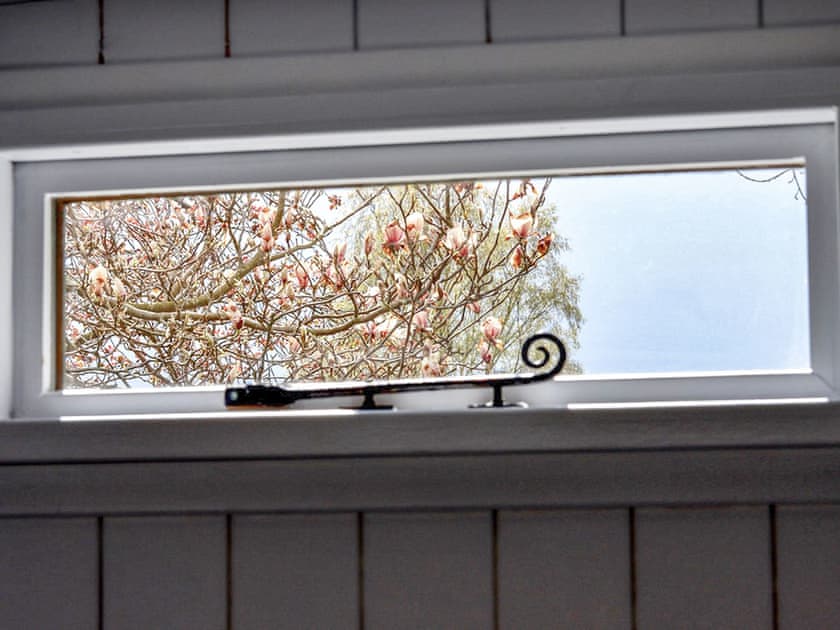 Carriage view from top window flowering magnolia  | Tiny House Railway Carriage Number 1 - Lockhaugh Farm Cottages & Carriages, Rowlands Gill