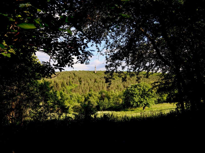 View from Railway Carriage  | Tiny House Railway Carriage Number 1 - Lockhaugh Farm Cottages & Carriages, Rowlands Gill