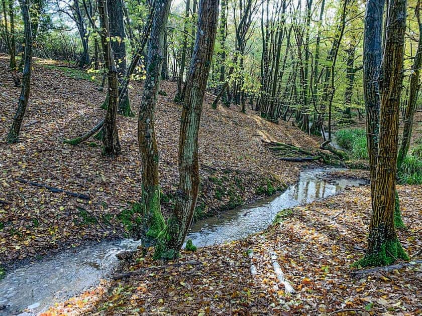Surrounding area | The Parlour, Cowbeech, near Hailsham