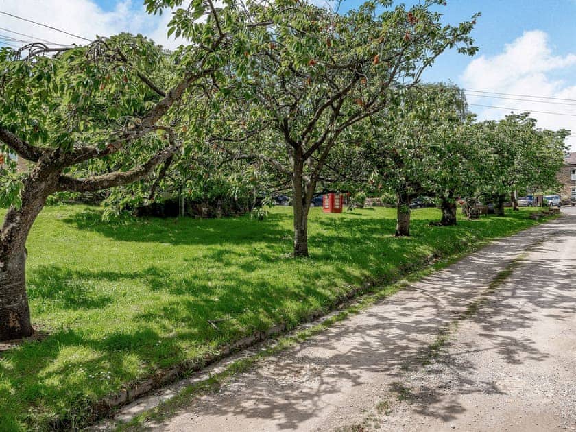 Surrounding area | Oak Cottage, Bewerley, near Pateley Bridge