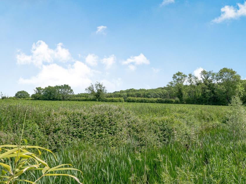 View | The Gallery Barn - Canal View House and The Gallery Barn, Swafield