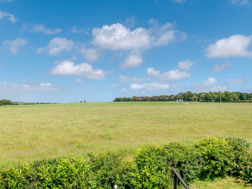 Surrounding area | The Ark Barn, Canterbury