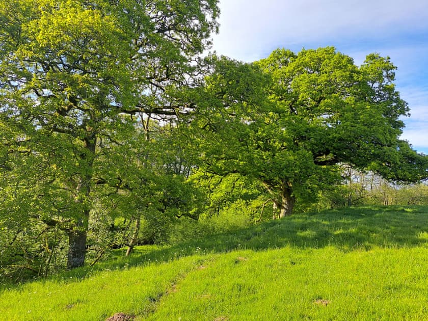 Surrounding area | Bogrie Country Cottage, Annan, Dumfries