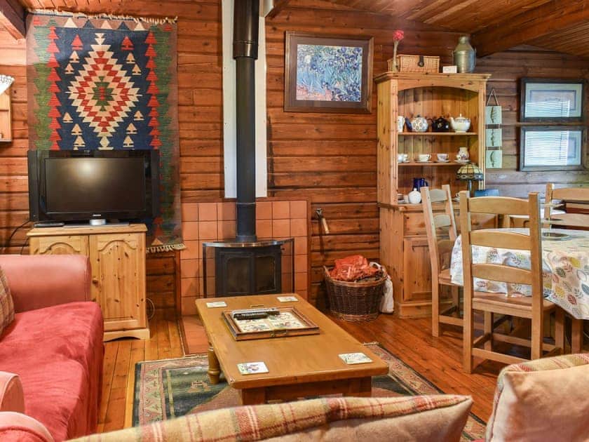 Living area | Finlog, Bradworthy