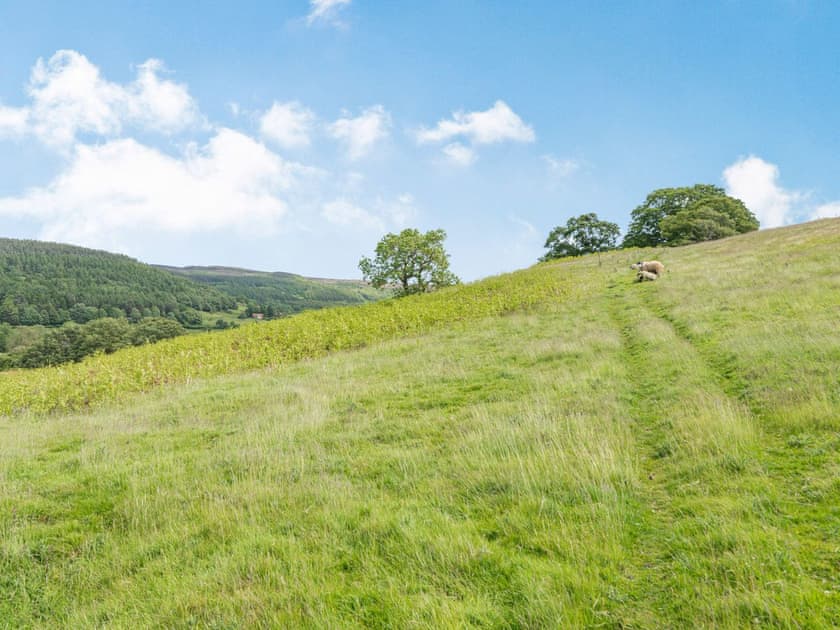 Surrounding area | The Wheelhouse, Swainby, near Stokesley