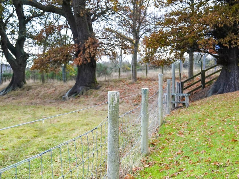 Garden | Brahan Cottages- Seaforth Cottage, Brahan, near Dingwall