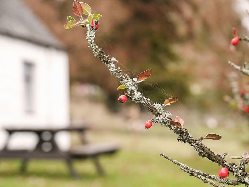 Exterior | Brahan Cottages- Seaforth Cottage, Brahan, near Dingwall