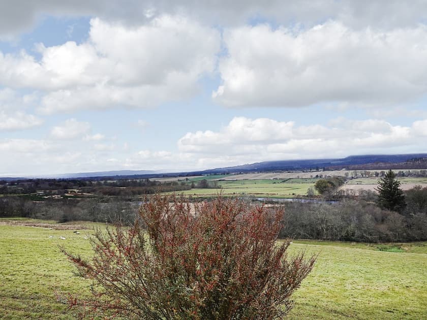View | Brahan Cottages- Seaforth Cottage, Brahan, near Dingwall
