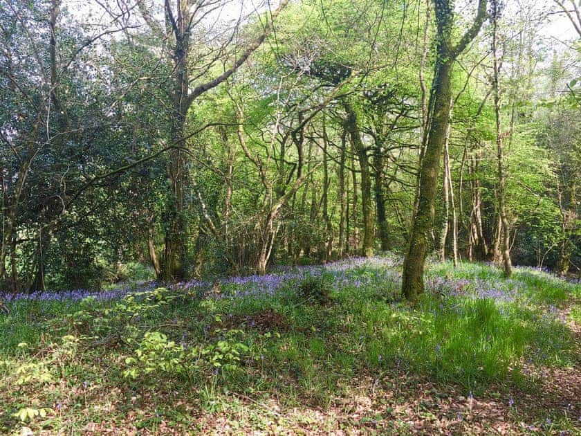 Surrounding area | Libbear Barton, Shebbear, near Bude