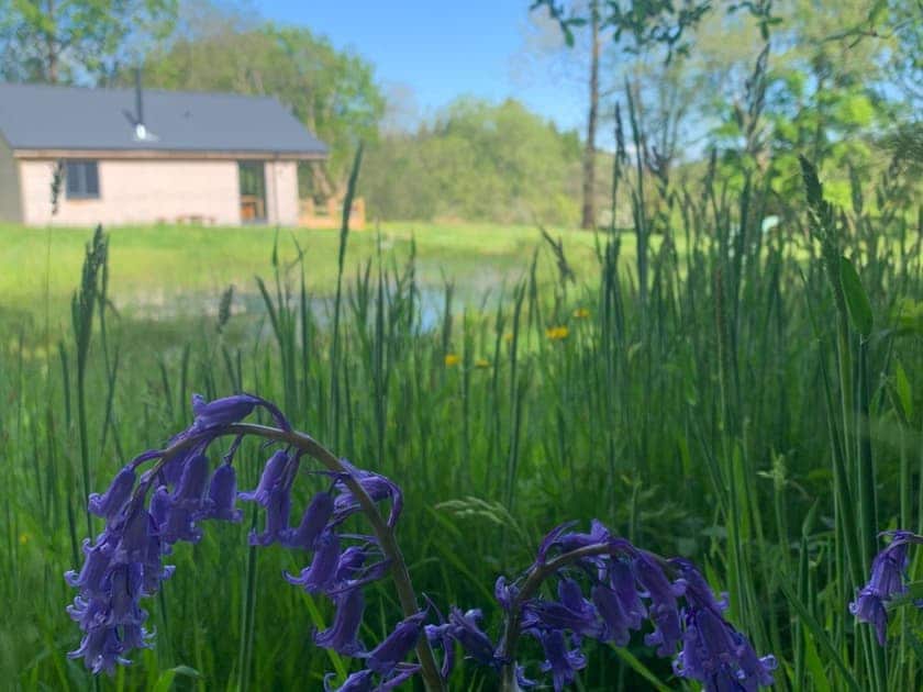 Outdoor area | Cadno - Glanyrafon Lodges, Cwrt Newydd, near Llandysul