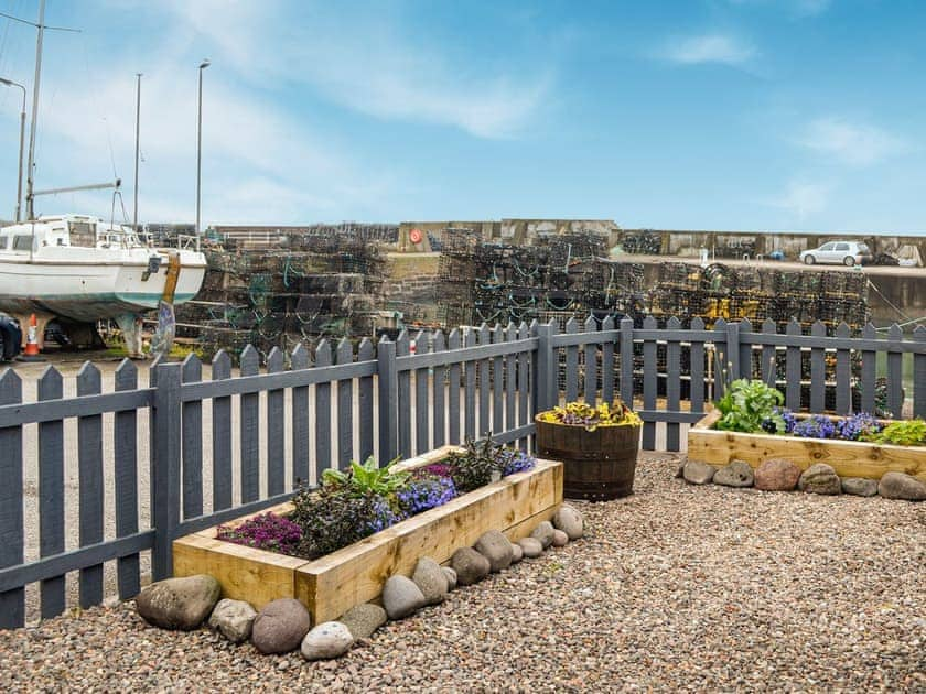 Garden | Fifie Cottage, Johnshaven, near Stonehaven