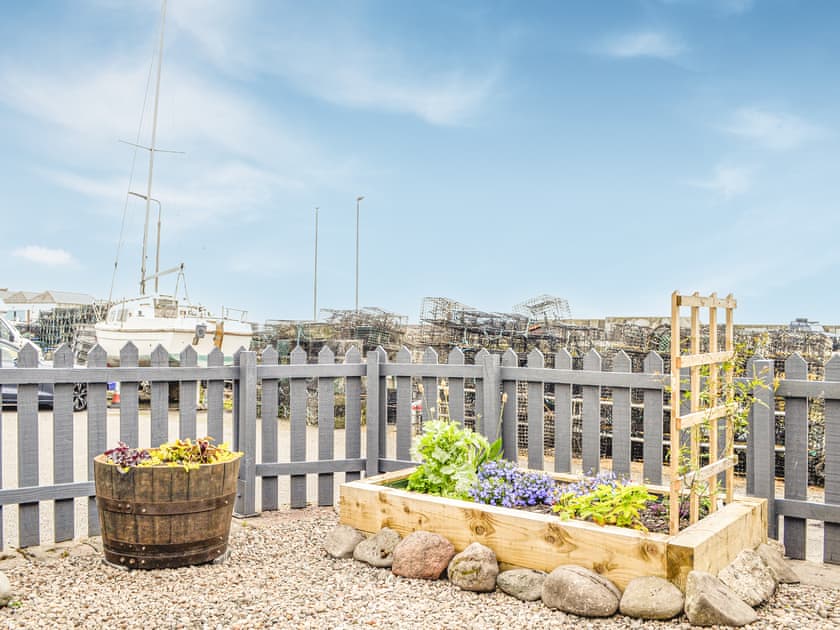 Garden | Fifie Cottage, Johnshaven, near Stonehaven