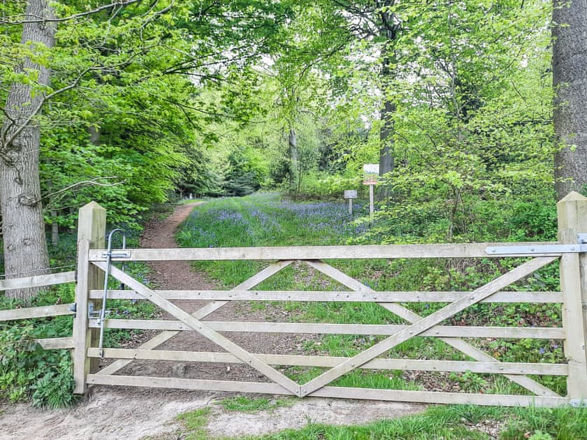 Surrounding area | Moorhouse Farm Cottage, Hovingham, near York