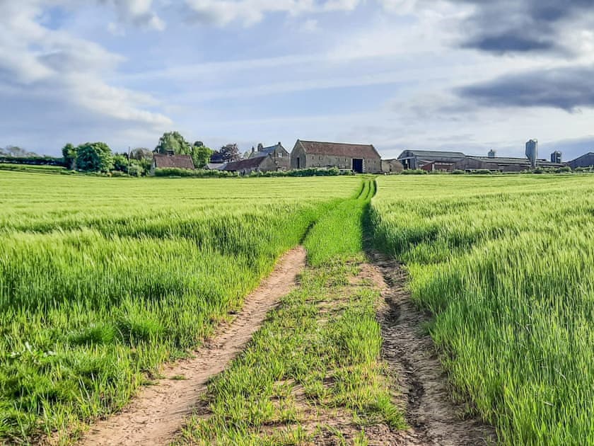 Setting | Moorhouse Farm Cottage, Hovingham, near York