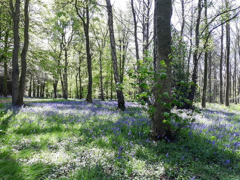 Surrounding area | Moorhouse Farm Cottage, Hovingham, near York