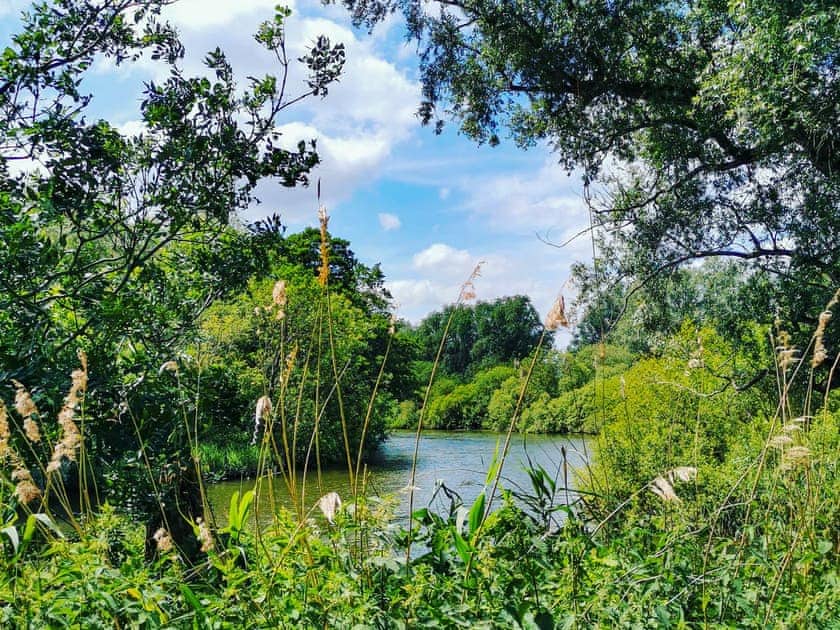View of the river walk between Beccles and Geldeston that runs from Gillingham.  | Beehive Cottage, Beccles