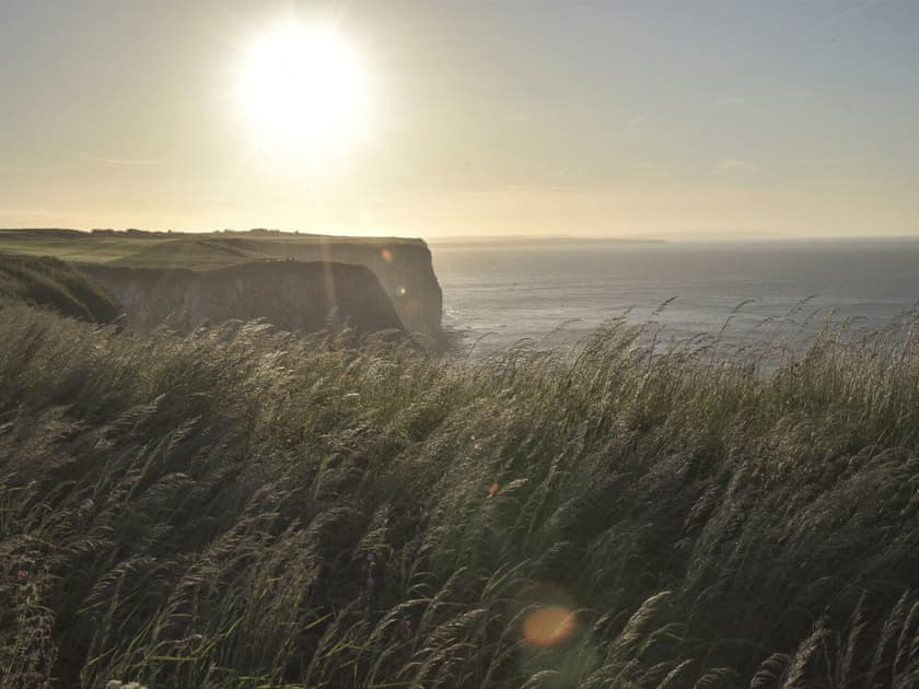 Bempton cliffs | Waves and Wolds, Sewerby, near Bridlington