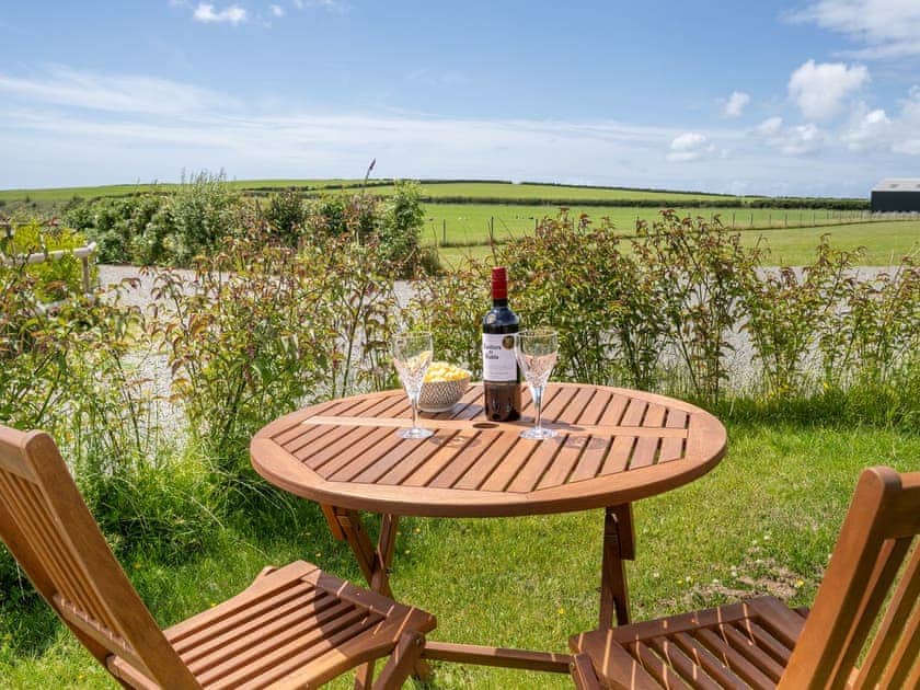 Garden and grounds | The Kite’s Nest - Castle View, Roch, near Newgale