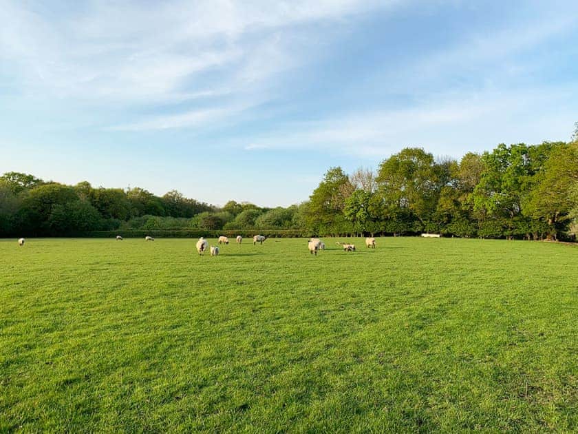 Surrounding area | The Parlour, Cowbeech, near Hailsham