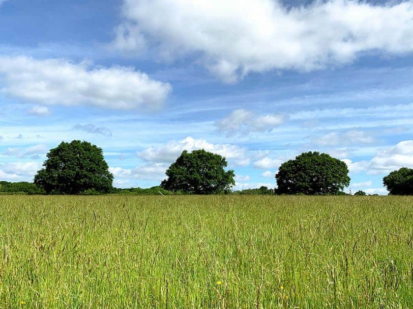 Surrounding area | The Parlour, Cowbeech, near Hailsham