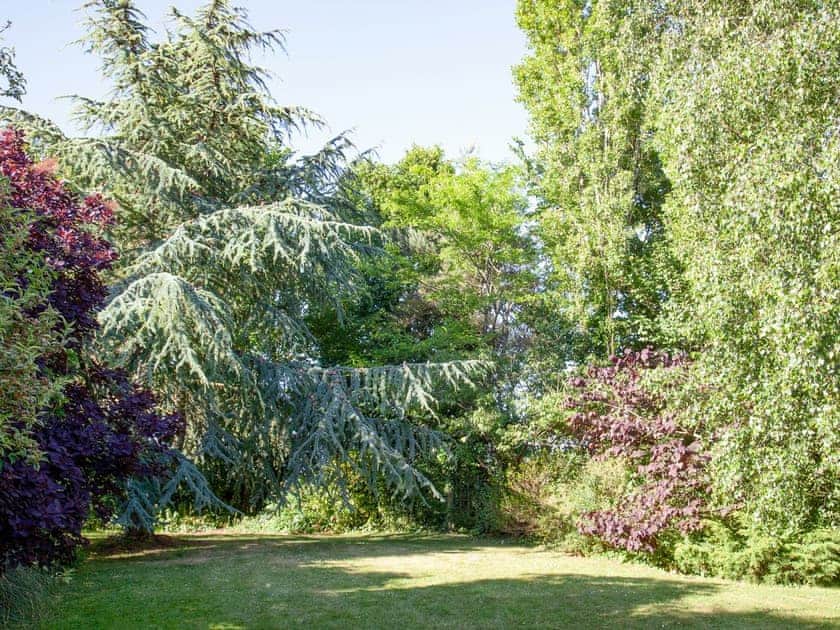Garden and grounds | The Stables, Clyst Honiton, near Exeter