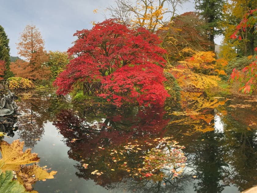 Benmore Botanic Gardens, near Blairmore | Pier Haven, Blairmore, near Dunoon