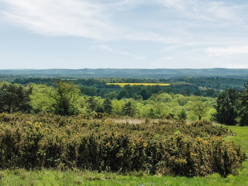 Surrounding area | Comptons Oast, Frant