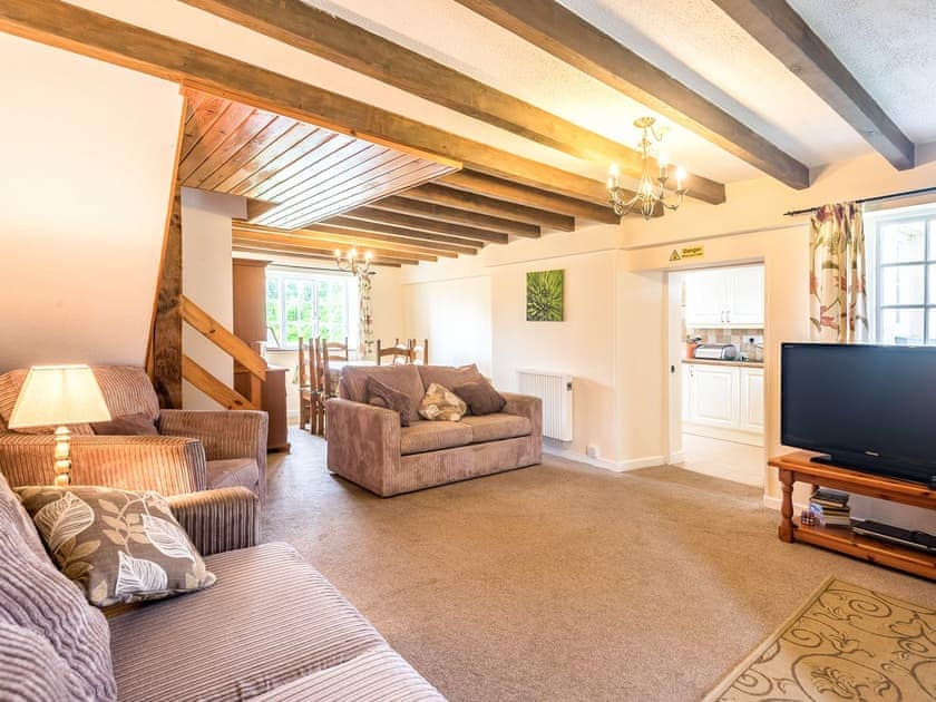 Living area | Well Farm Cottage - Well Farm Holiday Cottages, Holsworthy, near Launceston