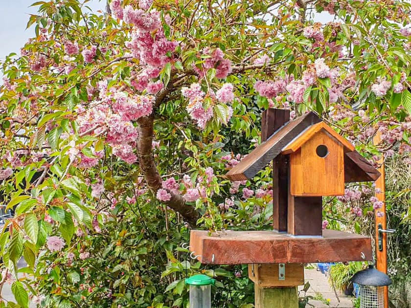 Garden | Hindscarth - Hindscarth Holidays, Camelford