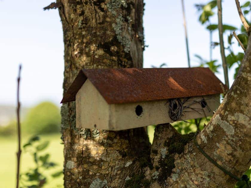 Outdoor area | Y Cwtch - Tregoes Pods and Domes, Fishguard