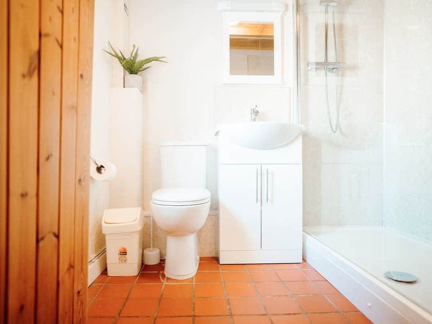 Shower room | Goose Cottage - Celtic Haven Resort, Lydstep, near Tenby