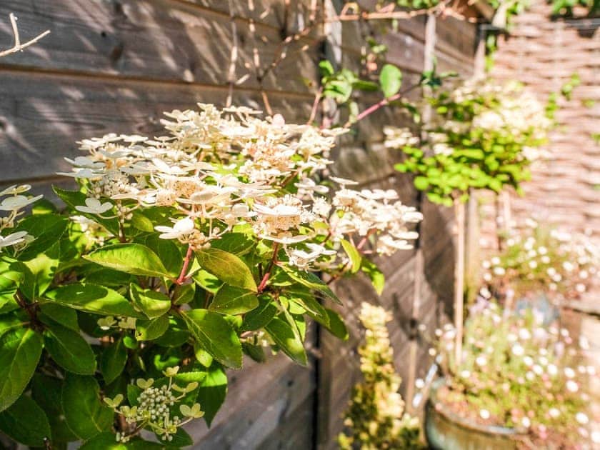Garden | Maple Lodge, Corsham