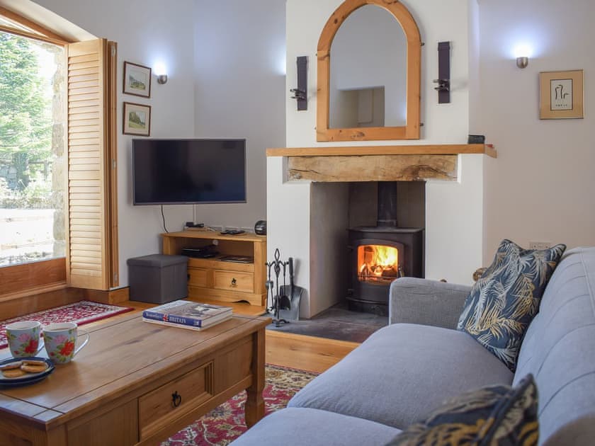 Cosy living room with wood burner | Carmarthen Cottages- Barn Cottage - Carmarthen Cottages, Cwmdu, Near Llandeilo